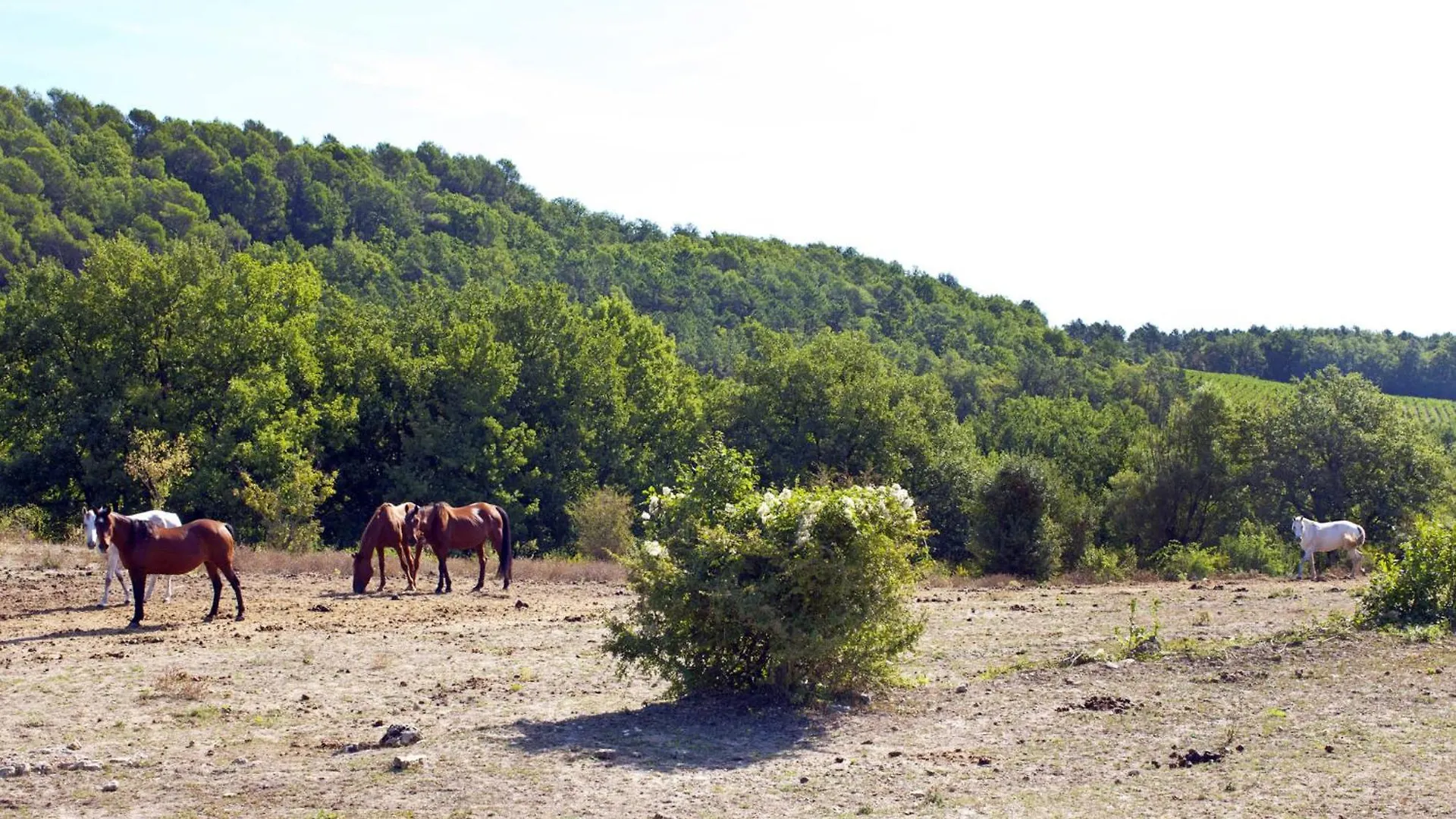 Holiday Home Villa D'Allongue By Interhome Callian  Callian (Var)